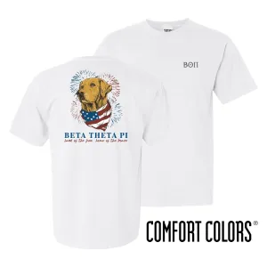 Beta Comfort Colors USA Retriever Tee